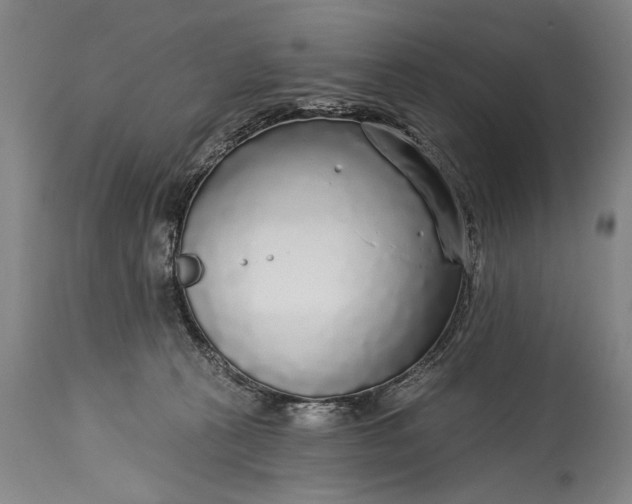 X0000115430273200911181507