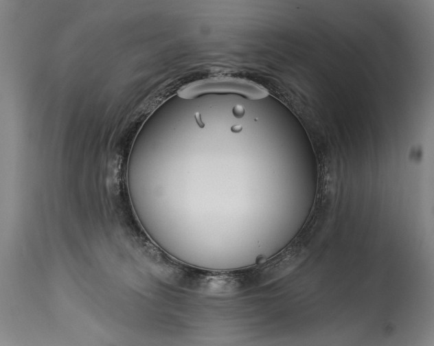 X0000115430275200911181507