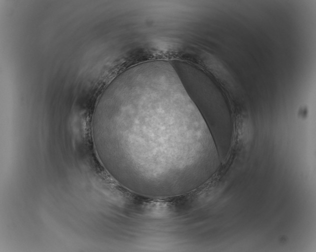 X0000115430276200911181507