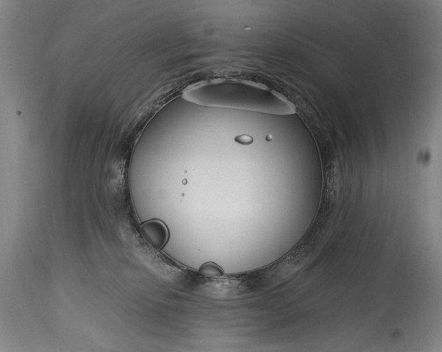 X0000115430278200911181507