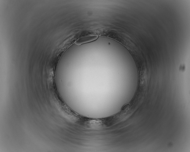 X0000115430279200911181507