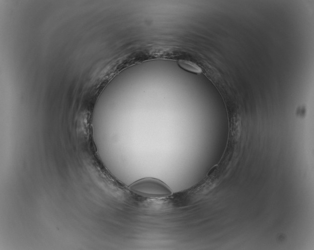 X0000115430280200911181507