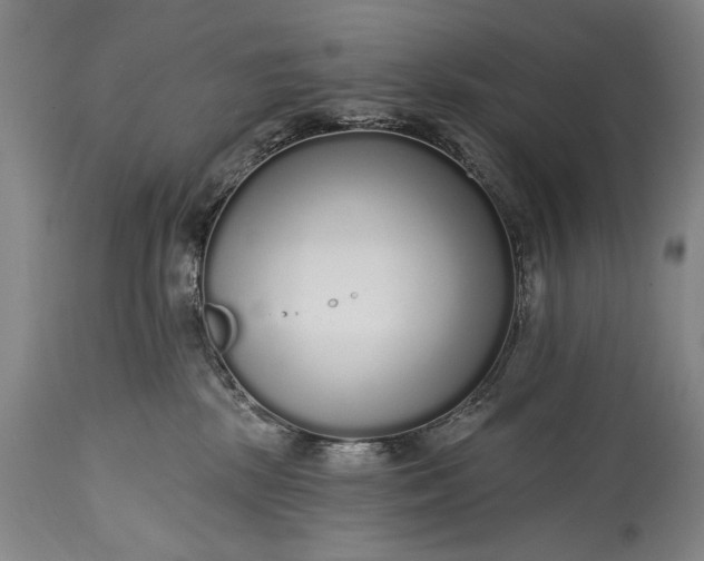 X0000115430281200911181507