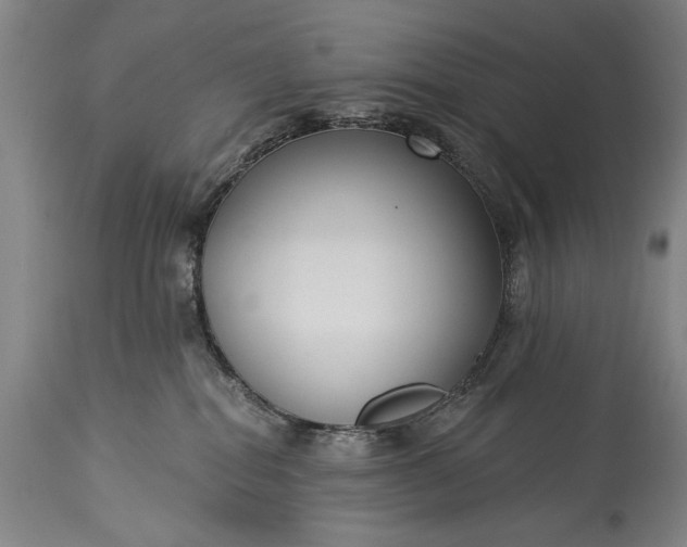 X0000115430282200911181507