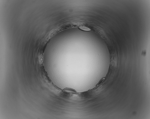 X0000115430285200911181508