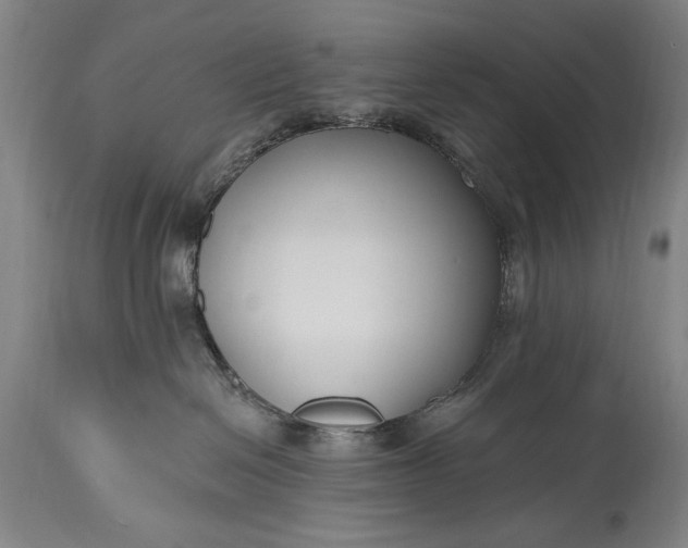 X0000115430286200911181508