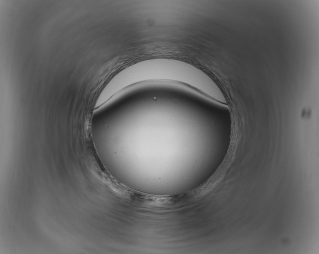 X0000115430288200911181508