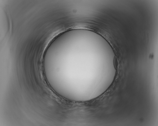 X0000115430289200911181507