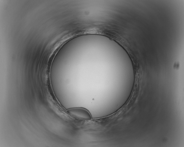 X0000115430290200911181507