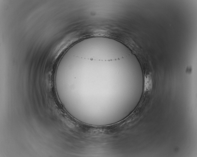 X0000115430291200911181507