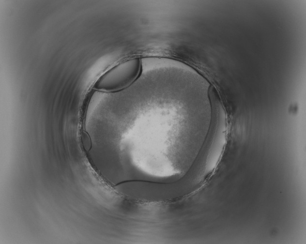 X0000115430293200911181507