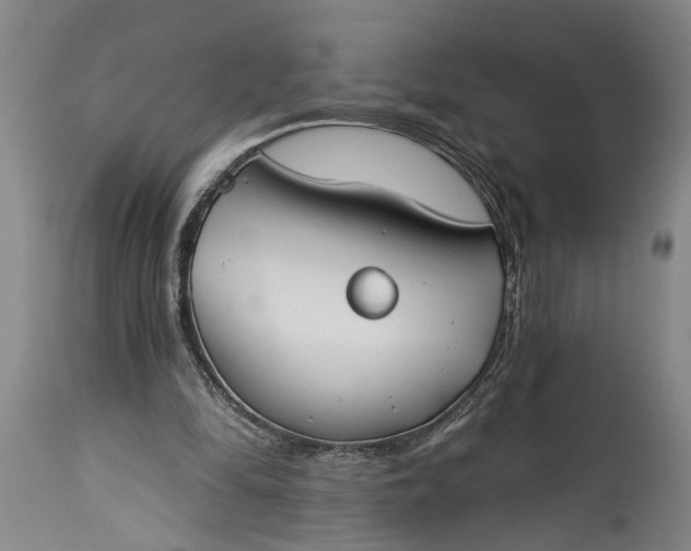 X0000115430294200911181507