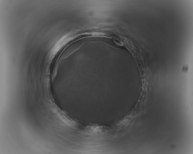 X0000115430295200911181507