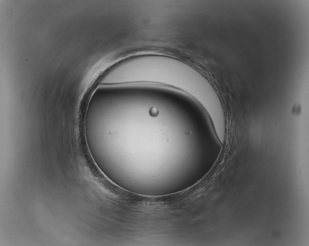 X0000115430296200911181507