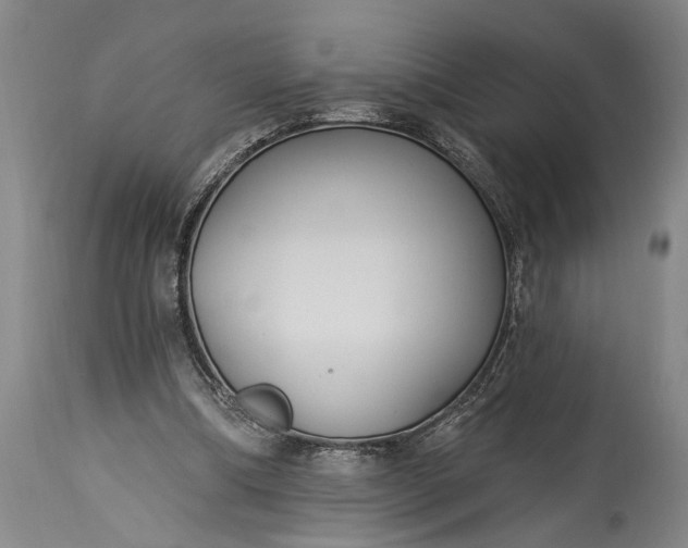 X0000115430298200911181507