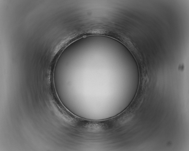 X0000115430299200911181507