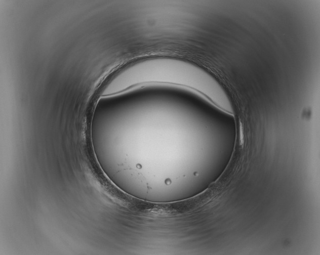 X0000115430300200911181507