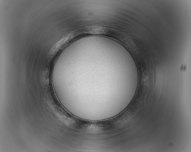 X0000115430303200911181507