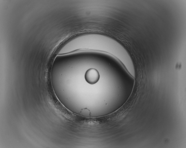 X0000115430304200911181507