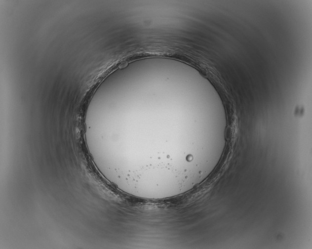 X0000115430305200911181507