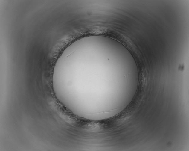 X0000115430307200911181507