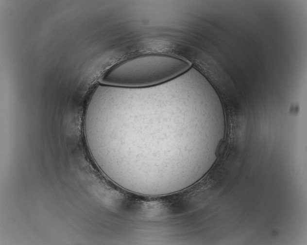 X0000115430309200911181507