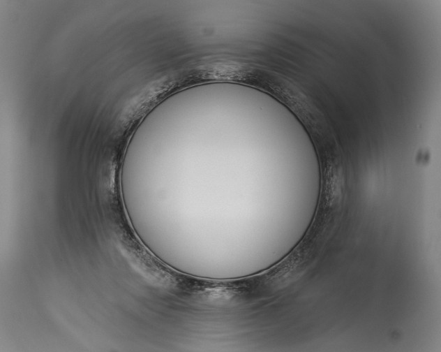 X0000115430310200911181507