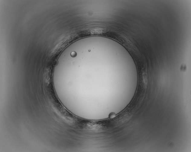 X0000115430311200911181507