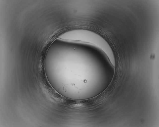 X0000115430312200911181506