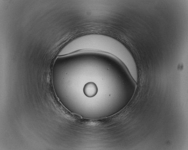 X0000115430313200911181506