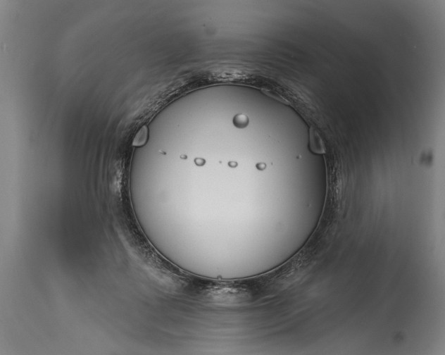 X0000115430315200911181506