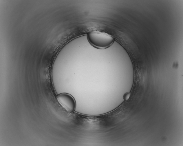 X0000115430317200911181506