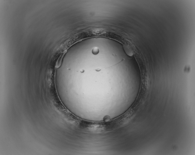 X0000115430319200911181506