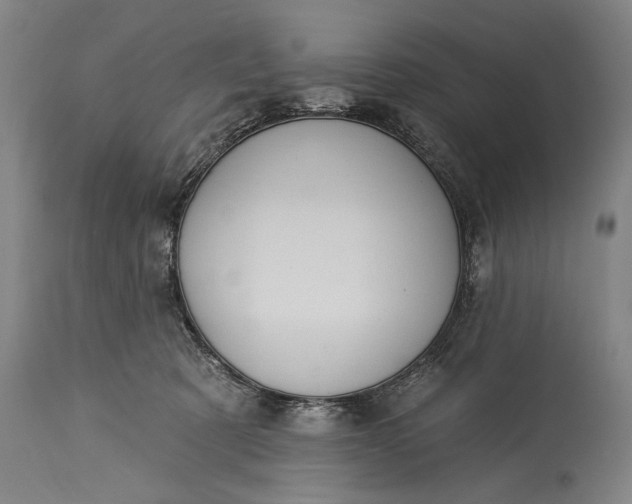 X0000115430321200911181506