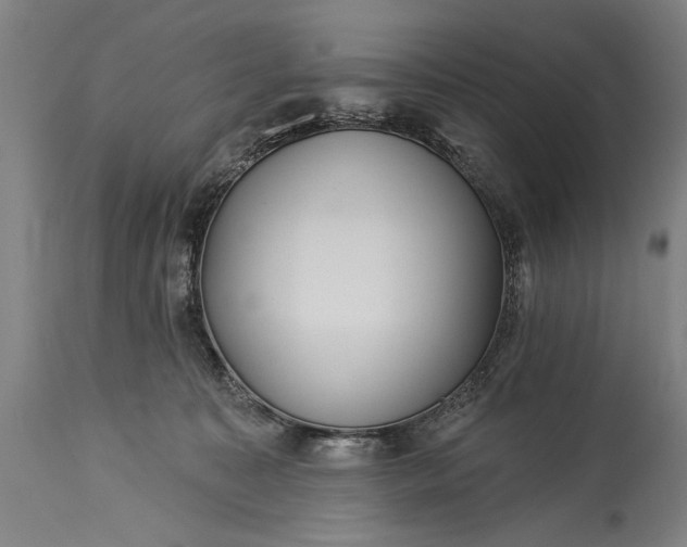 X0000115430323200911181506