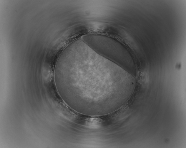 X0000115430324200911181506