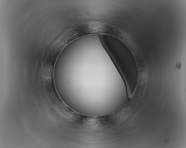 X0000115430325200911181506