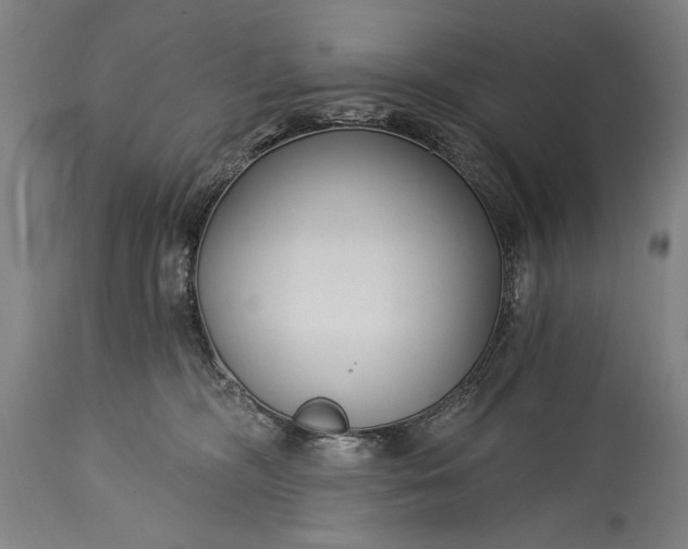 X0000115430326200911181506