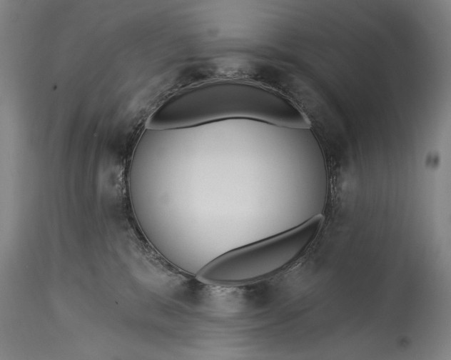 X0000115430327200911181506