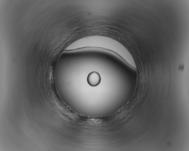 X0000115430328200911181506