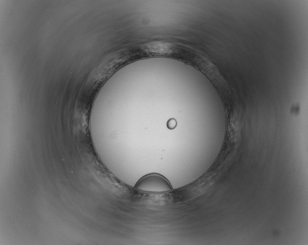 X0000115430330200911181506