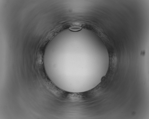 X0000115430331200911181506