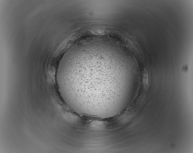 X0000115430332200911181506