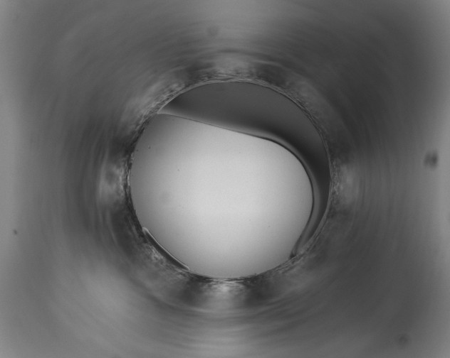 X0000115430333200911181506