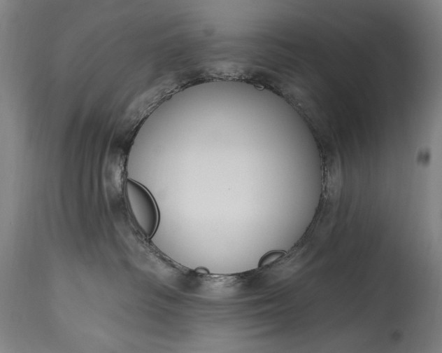 X0000115430334200911181506