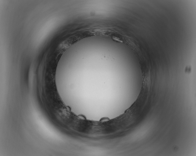 X0000115430335200911181506