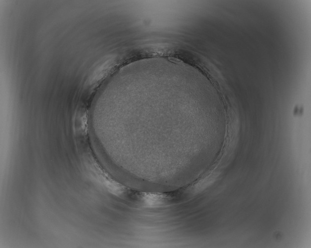 X0000115430336200911181506