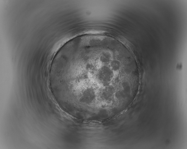 X0000115430337200911181505