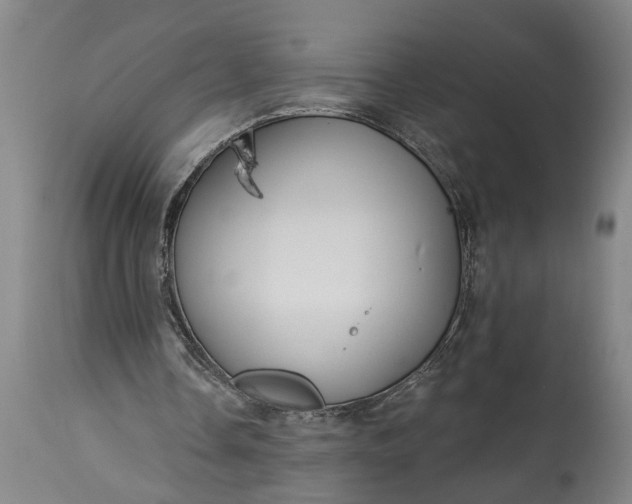 X0000115430338200911181506