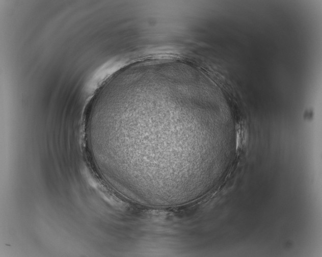 X0000115430339200911181506